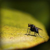 /album/master-clean-lavanderia/photolia-a07-jpg/